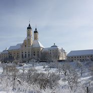 Mit Herz und Hand - mit Augustinus durch Kloster und Kirche